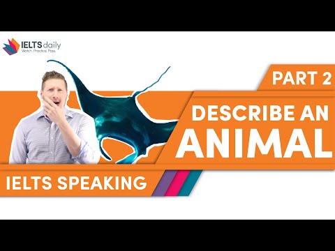 AN ANIMAL YOU REMEMBER — IELTS Speaking Part 2 — Band 9.0 answer Cue Card