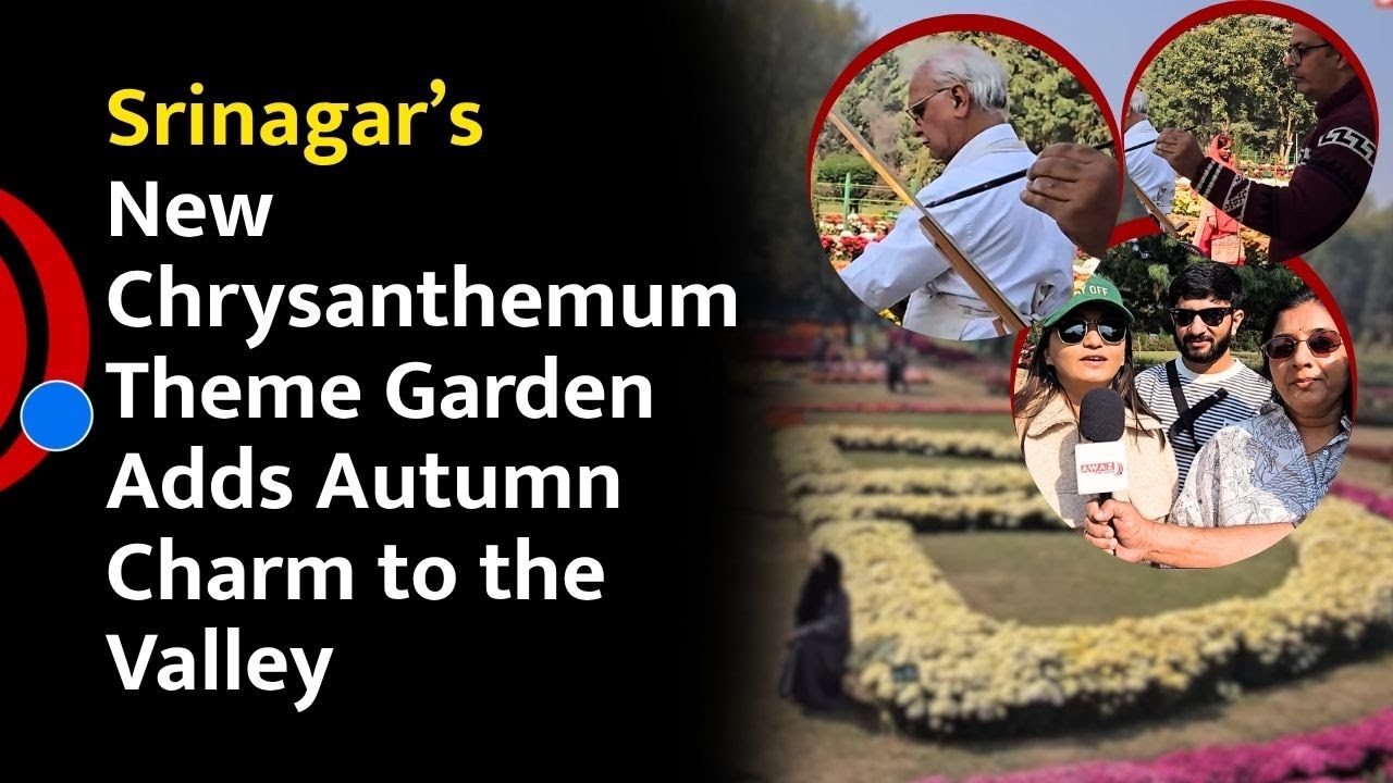 Srinagar’s New Chrysanthemum Theme Garden Adds Autumn Charm to the Valley