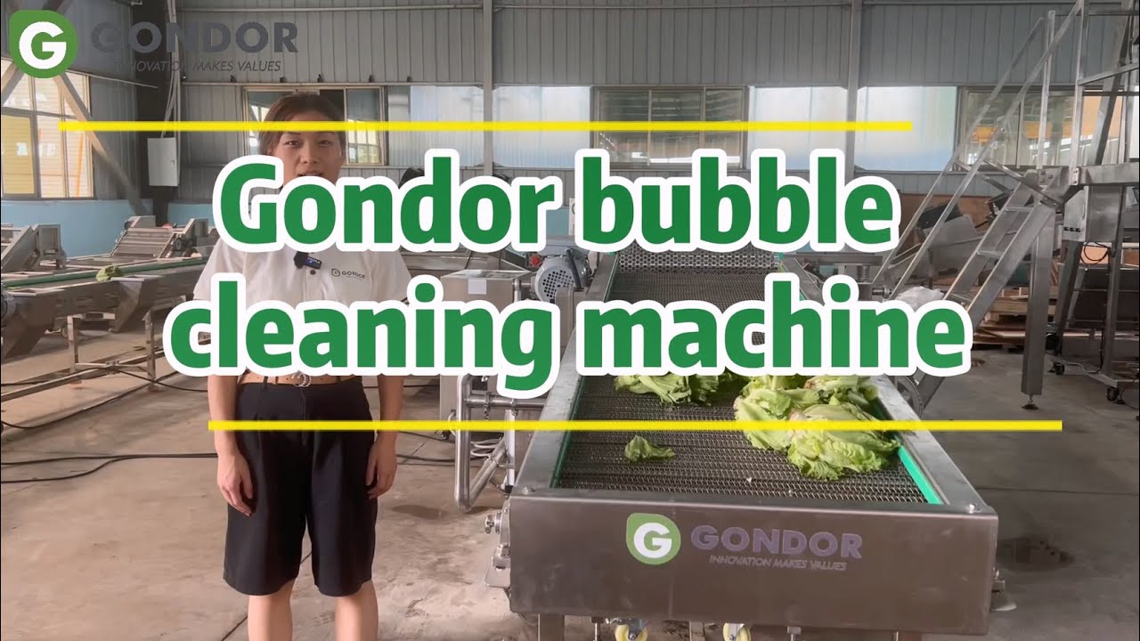 Gondor Bubble Vegetable Washing Machine: Efficient, Eco-Friendly, and Reliable! 