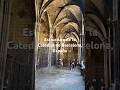 Configuración Estructural de la catedral de #barcelona #españa V.01  #virmex #virmex18wcee