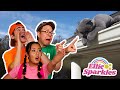 The Gang Saves a Cat | The Ellie Sparkles Show - WildBrain | Full HD Episodes