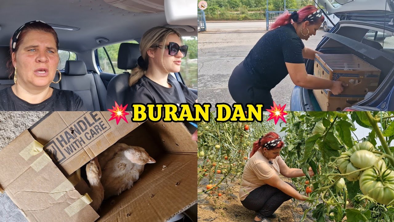 Otišli po ćurke, pa zamal' sudar ne doživjesmo, a evo kako se desilo sve 