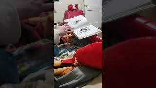 Animal masquerade