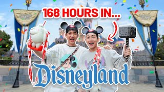 We spent 168 HOURS in Disneyland California *OMG* 我們住在加州迪士尼樂園168個小時!!!!