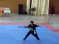 Daniel salgot subcampen catalunya kungfu 2007 arma corta