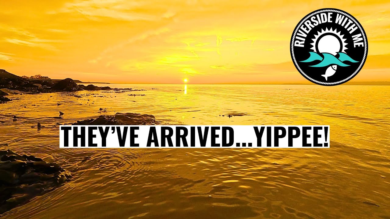 Stunning Fish, Stunning Sky: Sea Fishing Bliss