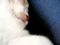 billy snoring