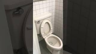 4 Bedroom townhouse Ikego housing Japan