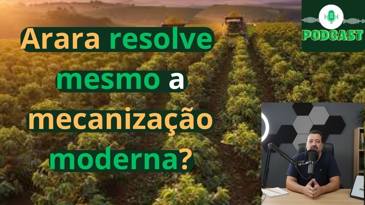 Além do Arara: as cultivares que realmente funcionam na mecanização