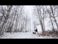 Anchorage Police Department K-9 Unit training