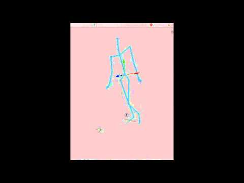 Echo State Networks Walk