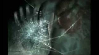 Resident Evil - Tribute to Tyrants