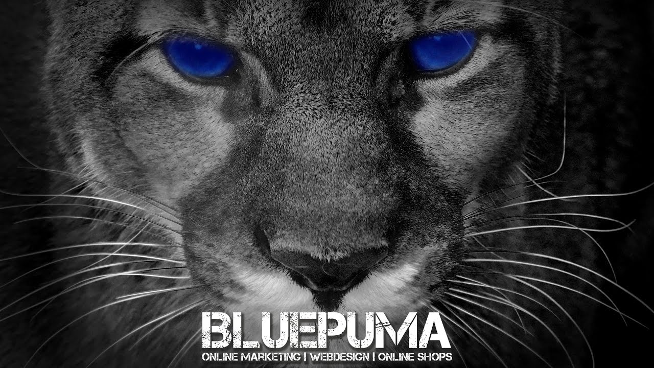 blue puma oberrainer