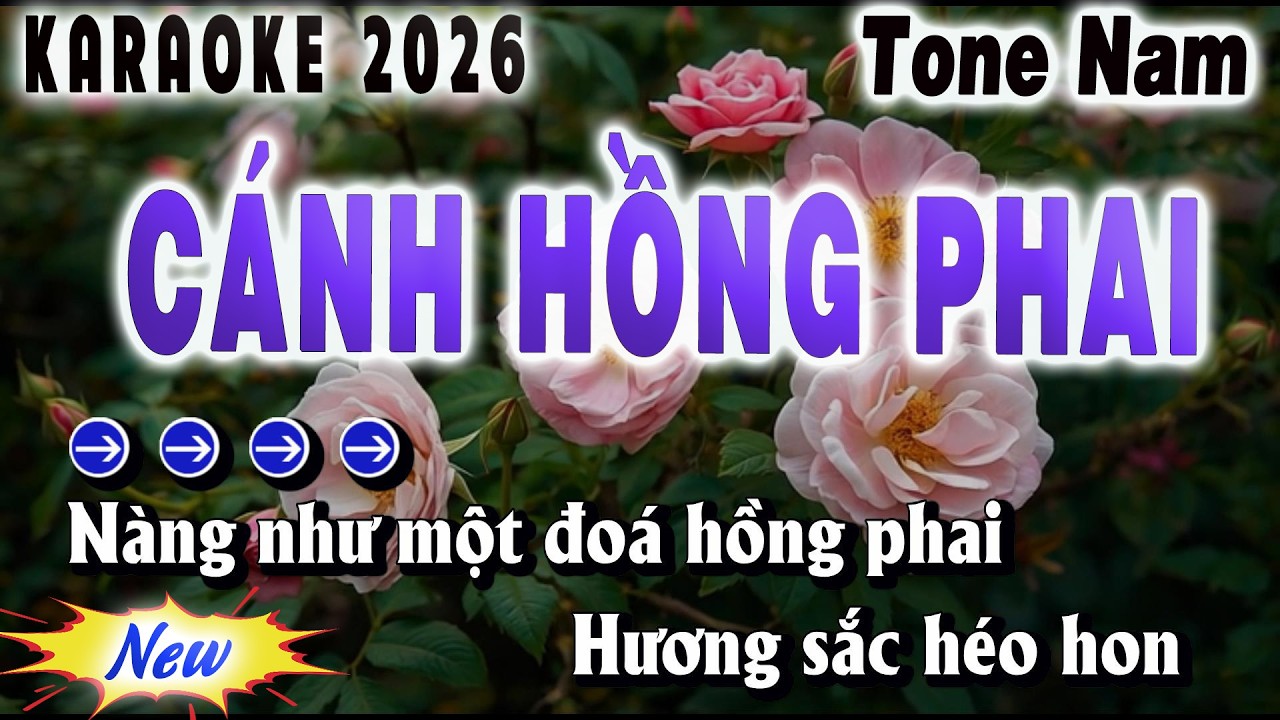Karaoke Cánh Hồng Phai - Tone Nam - Beat Chuẩn 2026 | Song Nhien Karaoke