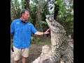 El hombre que tiene un cocodrilo de mascota IMPERDIBLE