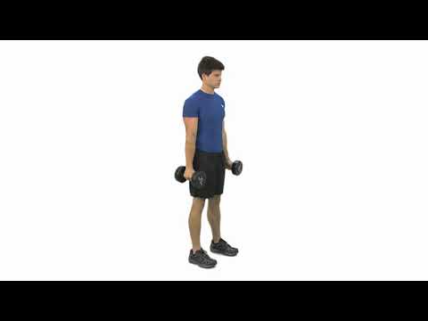 Hammer Curls video