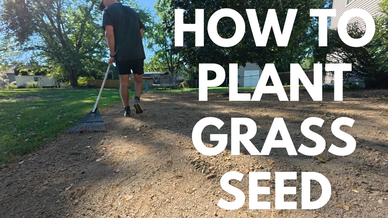 I STARTED MY LAWN OVER / Planting Grass Seed the RIGHT Way - YouTube