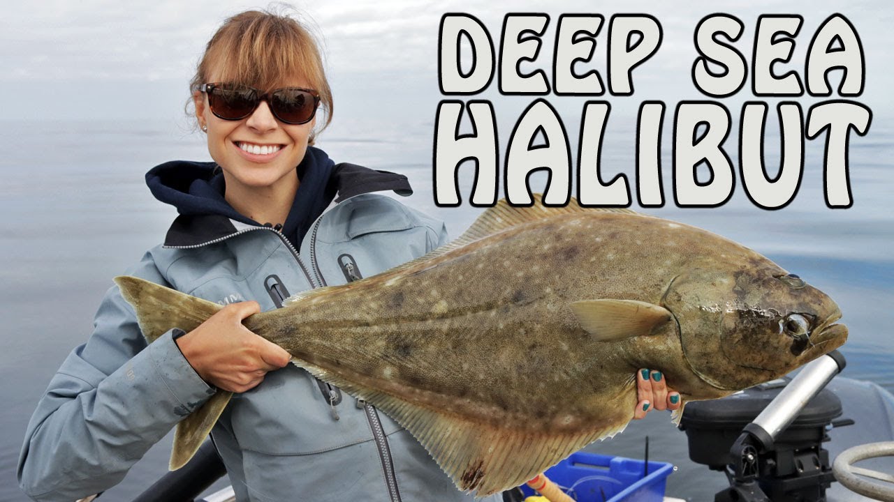 Deep Sea Jigging Halibut and Lingcod Fishing in Kyuquot Sound YouTube