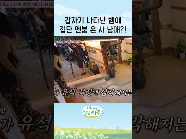 갑자기 뱀이 왜 여기서 나와?! #언니네산지직송3