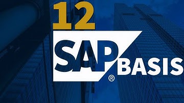 12- "Maintaining Default System Profiles in SAP Basis: A Comprehensive Guide"