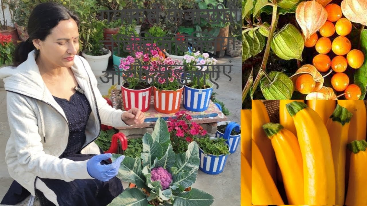 घर पर गमले में अनोखी सब्जियां और फल कैसे उगाएं  |  Rashmi's World - Create to Decorate