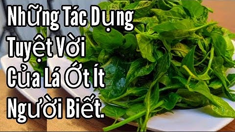 Những tác dụng tuyệt vời của lá ớt ít người biết.