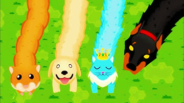 Snake.io HOW TO UNLOCK ALL 4 Racing Pets Event SKINS | Watch Dog