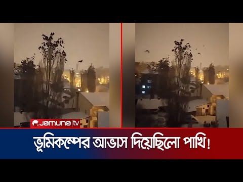 ভিডিও: Biorhythms কি এবং কিভাবে তাদের ব্যবহার করতে হয়?