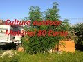 Matriel culture outdoor extrieur 80 euros petit budjet