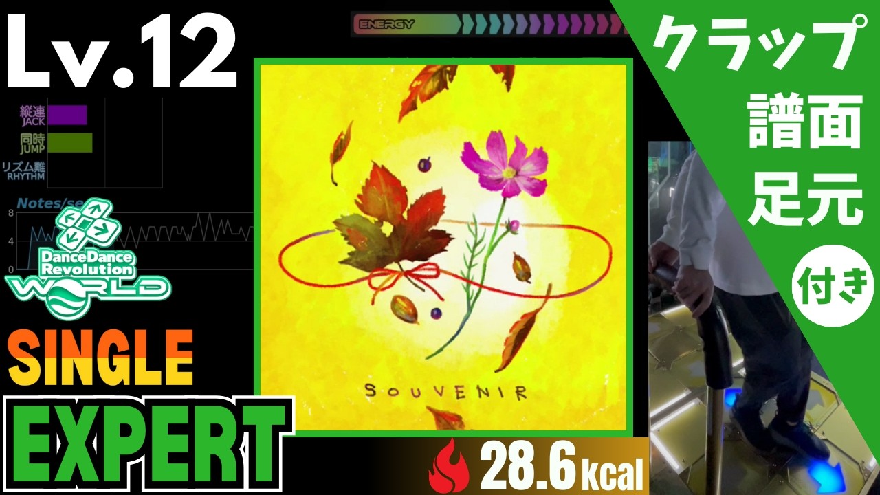 DDR WORLD】Lv.12 SOUVENIR（ESP）【譜面＋足元＋クラップ】 - YouTube