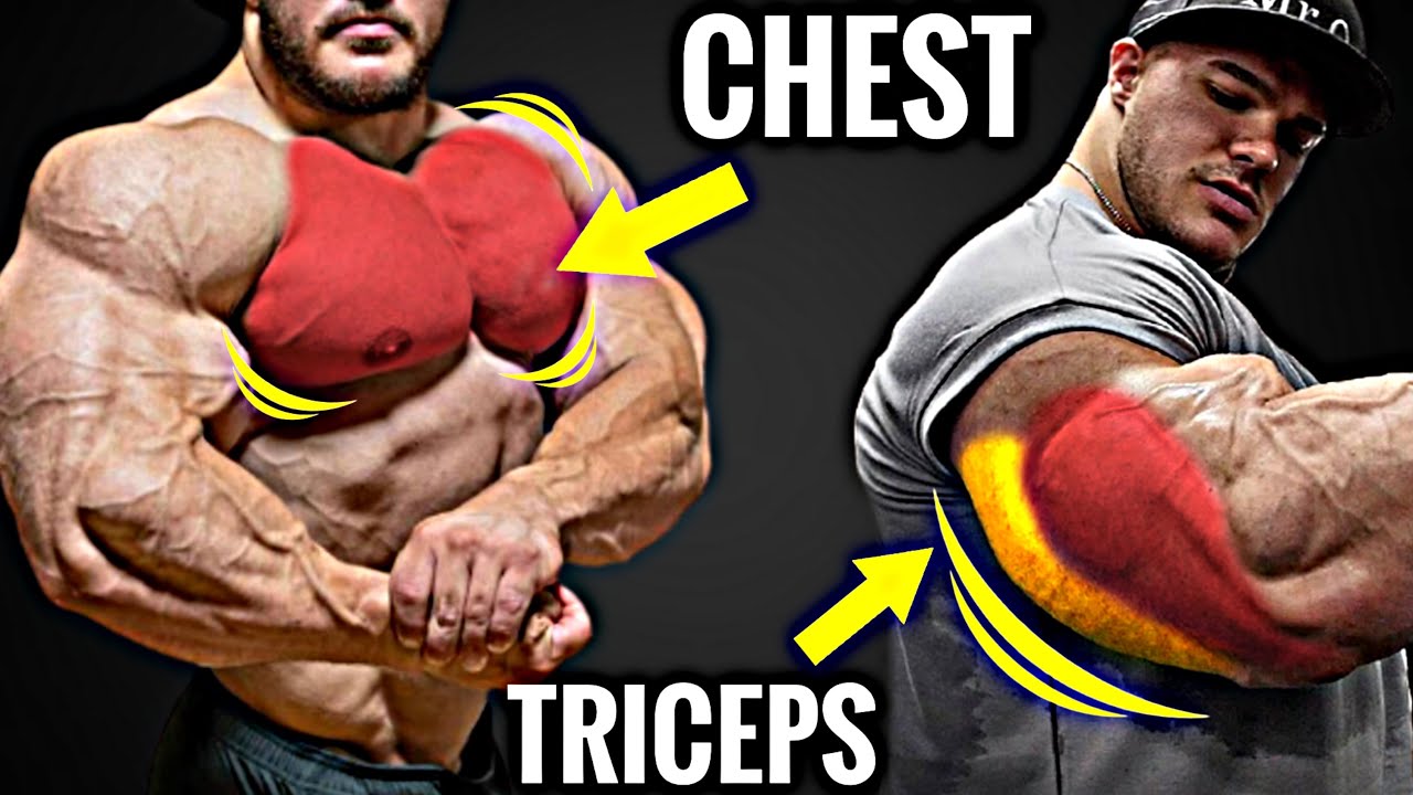 Best 6 Chest and Triceps Exercises (Super Set) Full Chest and