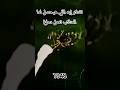 تفتكر إيه اللي هيحصل لما العناكب تعمل دماغ       