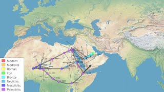 Ancient E1B1A Clade Found In Bronze Age Saudi Arabia (E-FT65391)