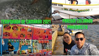 Temporada de camarón 2021/ Paredón / Paredoncito / Villa Juárez Sonora.