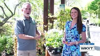 Richard Weber - Native Plants at Springhouse Gardens