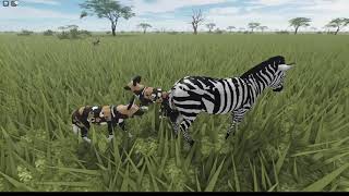 ROBLOX Wild Savannah || Successful Zebra Hunt