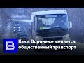 Как меняется общественный транспорт в Воронеже