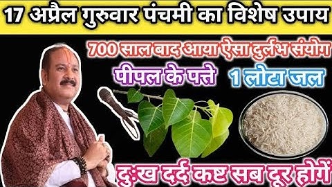 17 अप्रैल गुरुवार पंचमी का  महाउपाय ।।पीपर के पत्ते और चावल कि अचूक उपाय।। Pandit Pradeep Mishra।।