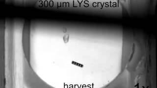 RodBot IRIS screenshot 4