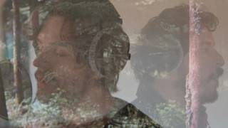 Celebrity Driftwood Choir - Tall Pines (Official Music Video) Net Worth