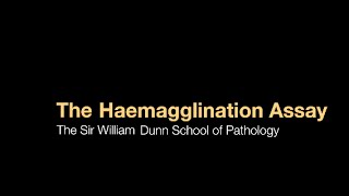 The Haemagglutination assay