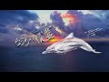 《Elves of Taiwan》Taiwanese humpback dolphin: The last 50 marine elves on earth