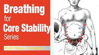 Functional Abs | Intra-Abdominal Pressure Breathing For Core Stability