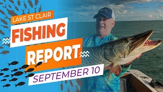 Lake St. Clair Fishing Report | September 10