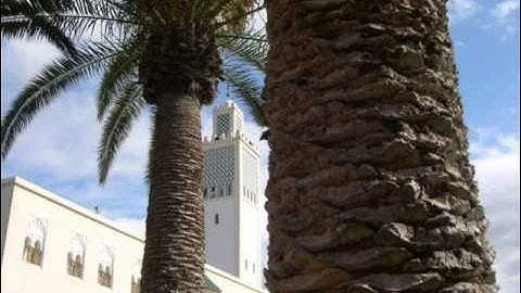 تلاوة خاشعة من المسجد الكبير للقارئ _ طلحة الدريوش ( 21 رمضان 2015 ) !