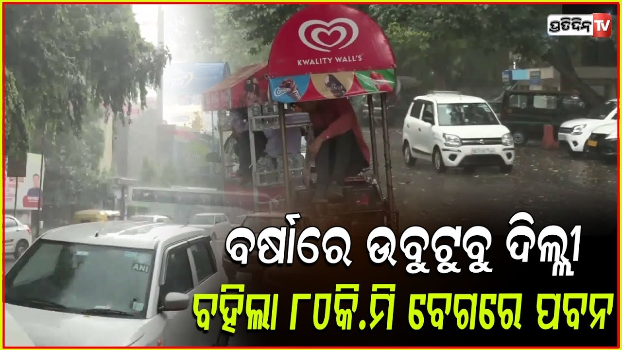 ଦିଲ୍ଲୀରେ ଲଗାଣ ବର୍ଷା, ଉପୁଡ଼ି ପଡ଼ିଲା ବିରାଟ ଗଛ ! Hailstorms and heavy rains lash Delhi-NCR .