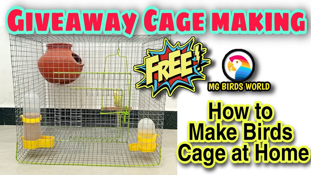 Giveaway Cage Making Video🥳 |Watch this Video & Win this Cage🥳 | @mgbirdsworld