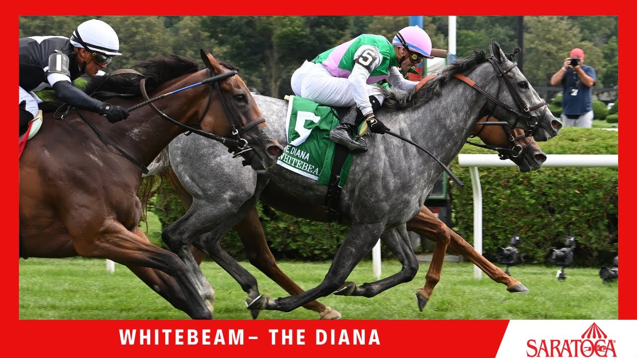 whitebeam-2023-the-diana-youtube