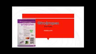 Фітофторин фунгіцид комбінований профілактичної і лікувальної дії