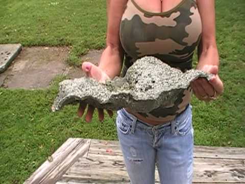 Monster Marcasite Plate from Shullsburg Wisconsin